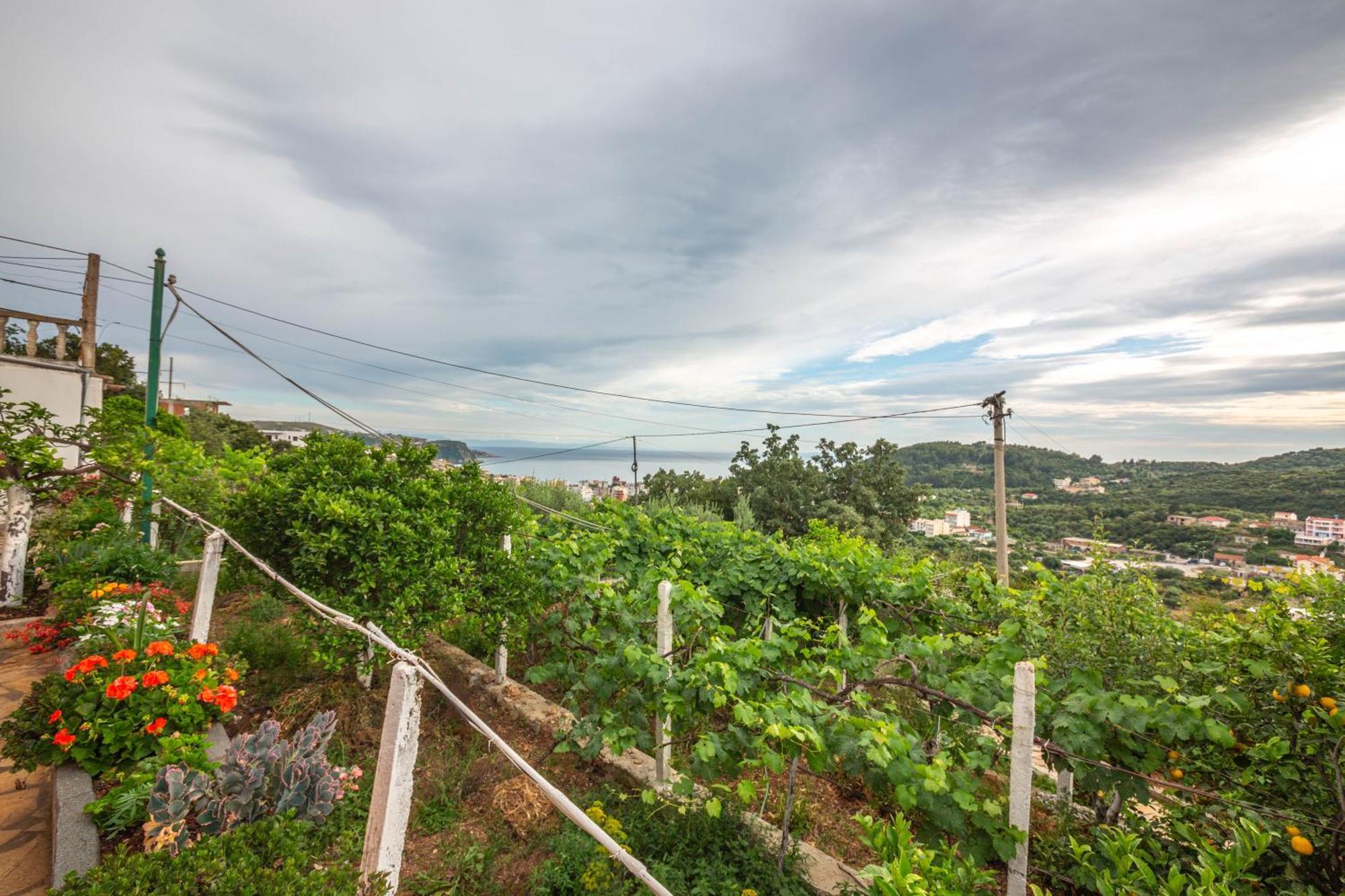 Villa Rondo Himarë Exteriér fotografie